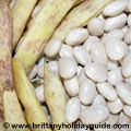Coco de Paimpol, white beans